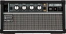 Roland JC-01B  беспроводная акустическая система