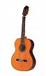 Francisco Esteve 1GR08(8) классическая гитара, верх-кедр или ель, корп.-инд.палисандр, накл.-чёрн.дер.