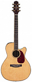 Takamine TNV760SC электроакустическая гитара с кейсом