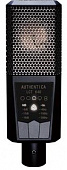 Lewitt LCT640 Authentica конденсаторный микрофон для студийной работы с вокалом и музыкальными инструментами (кейс, "паук")