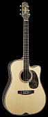 Takamine LTD 2010 Dreadnought Limited Edition электроакустическая гитара, цвет натуральный