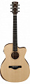 Ibanez AC150CE-OPN Artwood Grand Concert электроакустическая гитара, цвет натуральный