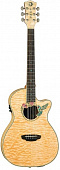 Luna FAU HUM электроакустическая гитара, цвет натуральный, рисунок "колибри"