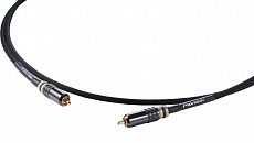 Pioneer DAS-DGC020R кабель (коаксиальный) цифровой, 2 метра