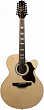 Takamine EG523SC-12 12-струнная электроакустическая гитара Jumbo