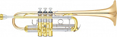 Yamaha YTR-8445G Xeno  труба C, тяжелая, золотое покрытие