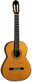 Admira Soledad  классическая гитара, верх - кедр, корпус – палисандр, гриф - самангуил, накладка – черное дерево