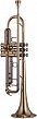 Yamaha YTR-8335G Xeno труба Bb профессиональная, тяжёлая, gold brass bell, чистый лак