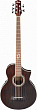 Ibanez EWB205WNE-NT With Case 5-струнная полуакустическая бас-гитара 