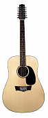 Peavey Briarwood DR-112 12-струнная ак. гитара
