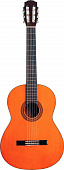 Fender CG4 ACOUSTIC GUITAR NAT EXP акустическая гитара