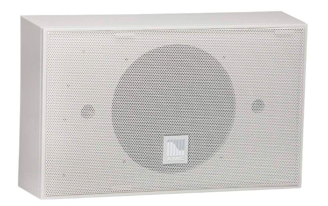 AMC iSpeak 6 громкоговоритель настенный, цвет серый