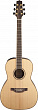 Takamine GY93-NAT акустическая гитара