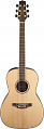 Takamine GY93-NAT акустическая гитара