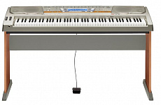 Casio WK-8000 cинтезатор 88 клавиш