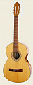 Camps Estudio SONATA классическая гитара без кейса (верх. дека - массив кедра, матовое покрытие)