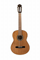 Sevillia DS-100 MNT гитара классическая, цвет натуральный