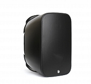 AuraSonics Dense-8T  акустическая система настенная, цвет черный