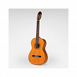 Esteve 5 SP Satin  классическая гитара 4/4, цвет натуральный матовый