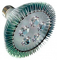 Showlight LED Spot Lamp for PAR20 5W диодная лампа для прожекторов