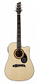 NG GT600-E NA электроакустическая гитара, цвет натуральный