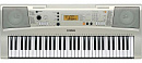 Yamaha PSR-E313 синтезатор с автоаккомп., 61кл / 32нот.полиф / 482темб / 106стил / 102песни / MIDI / YES5 / Flash