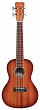 Cordoba 15 CM-E Edge Burst укулеле концертная, цвет санбёрст, со звукоснимателем
