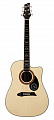 NG GT600 NA акустическая гитара, цвет натуральный
