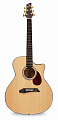 NG AM411SCE NA электроакустическая гитара, цвет натуральный, чехол в комплекте