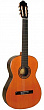 Francisco Esteve 6PS SP  классическая гитара, цвет натуральный
