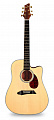 NG DM411SCE NA электроакустическая гитара, цвет натуральный, чехол в комплекте