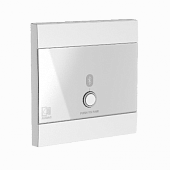 Audac WP220/W  панель удалённого Bluetooth-приёмника, универсальная, цвет белый
