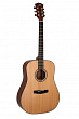 Dowina D-111 CED Limited Edition акустическая гитара