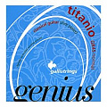 GalliStrings GR45 Classical Genius Titanio Normal Tension комплект из шести струн для классической гитары среднего натяжения, .028-.044