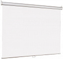 Lumien LEP-100121 настенный экран Eco Picture 115 х 180 см (рабочая область 109 х 174 см)
