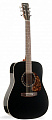 Norman Protege B18 Cedar Black  акустическая гитара Dreadnought, цвет черный