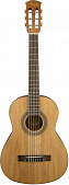 Fender FA-15N Nylon 3/4 scale w/bag классическая гитара с чехлом, размер 3/4, цвет натуральный