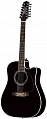 Takamine EF381SC 12-струнная электро-аккустическая гитара с кейсом