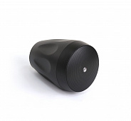 AuraSonics Floret-4T  акустическая система, настенная/подвесная, IP66, цвет черный
