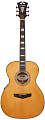 D'Angelico Premier Tammany VN  электроакустическая гитара, Folk, цвет натуральный