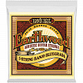 Ernie Ball 2063 Earthwood 80/20 Bronze Bluegrass 9-20 струны для банджо