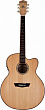 Washburn WJ40SCE электроакустическая гитара