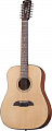Framus FD 14 SV VSNT 12  12-струнная акустическая гитара Dreadnought, цвет натуральный