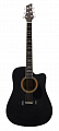 NG GT600-E BK электроакустическая гитара, цвет черный