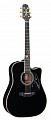 Takamine 2012 'Michi' Limited Edition Dreadnaught Acoustic Guitar Black электроакустическая гитара