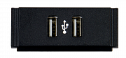 AMX FG553-12  двойной USB-модуль HPX-N102-USB с печатным символом USB для подключения HydraPort HPX-600,900,1200