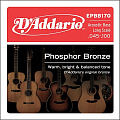 D'Addario EPBB-170 струны для акустической бас-гитары, фосфор/бронза, 45-100