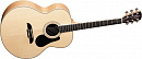 Alvarez-Yairi AJ60S12(U)  Акуст. гитара Jumbo. дека ель, корп. клен.