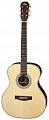 Aria Aria-505 N гитара акустическая шестиструнная в кейсе, цвет натуральный