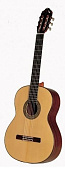 Manuel Adalid Adalid  мастровая классическая гитара с кейсом, цвет натуральный